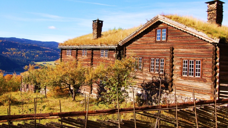 Høst på Bjørnstad
